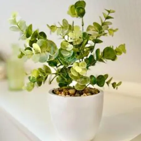 Le Glamour I Peaceful I High-speed Internet Appartement