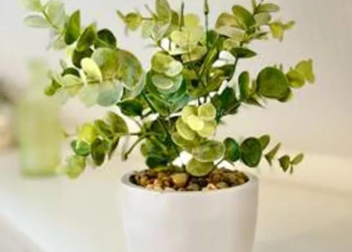 Le Glamour I Peaceful I High-speed Internet شقة